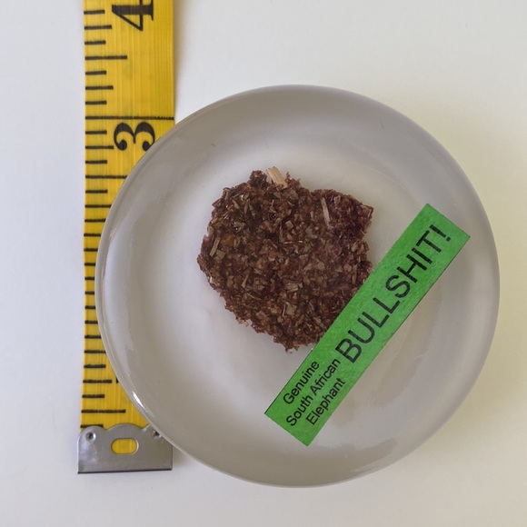 Genuine South Africa Elephant Bullshit Dung Poop Paperweight Unique Gag Fun Gift - Picture 4 of 8